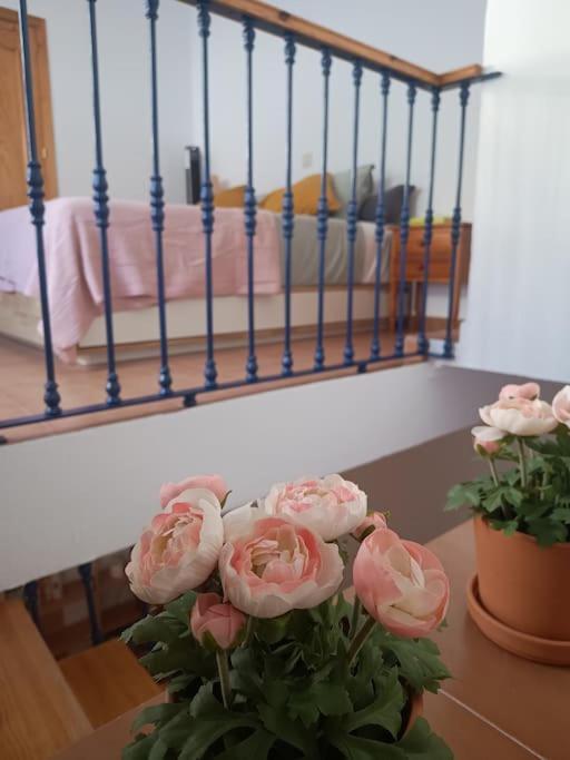 Casa Heli - Ruim Appartement Met Dakterras In Polopos Kültér fotó